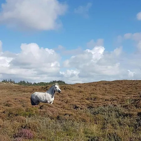 Blabjerggaard - Hennebysvej 60 Aparthotel